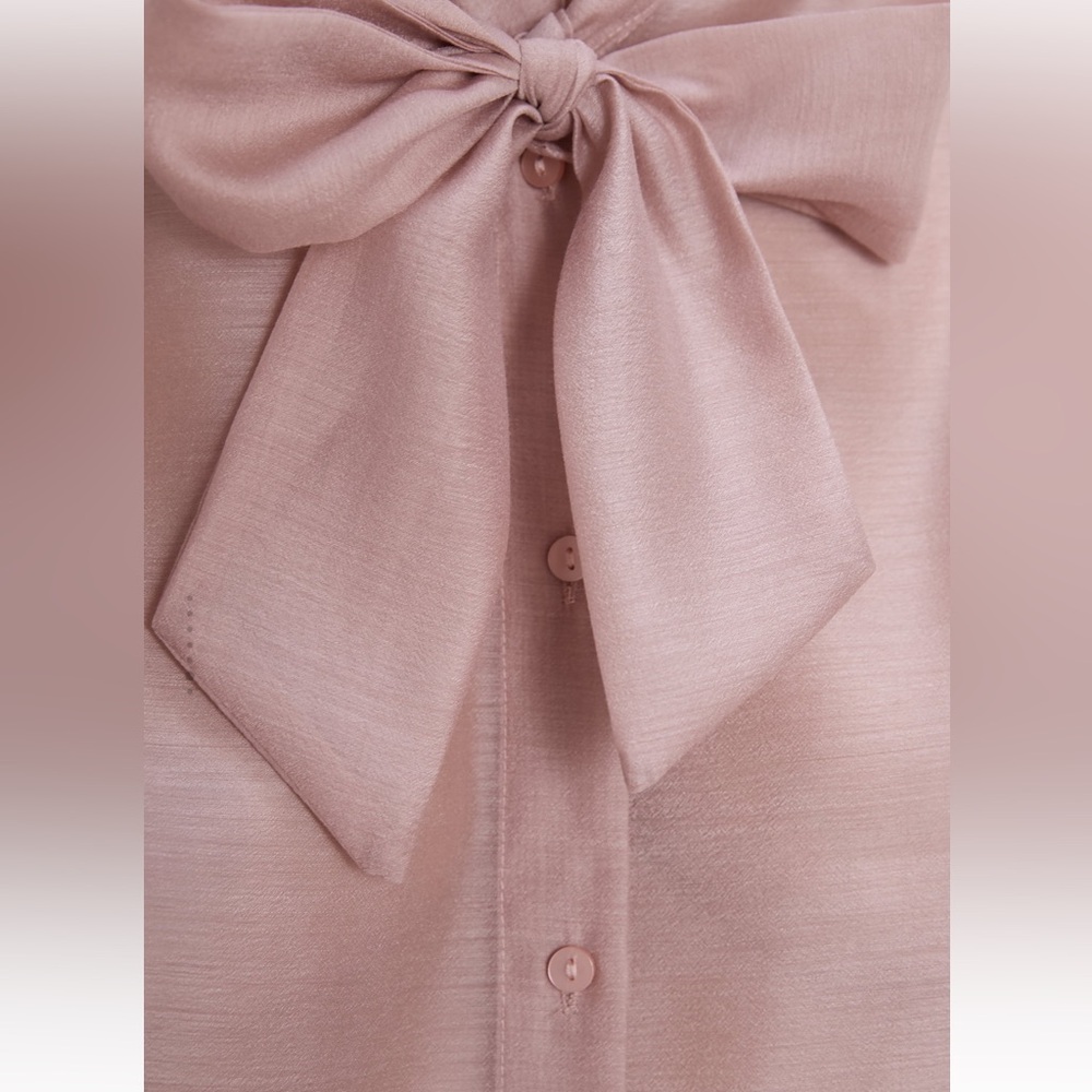 Zara Organza Blouse With Tie - Picture 6 of 10